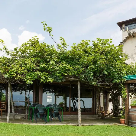 Unique Holiday Experience In The Greenery