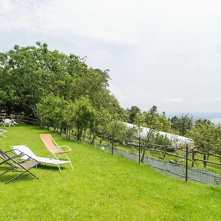 In With Views Verbania