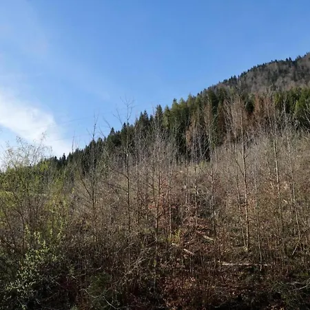 Dom wakacyjny In With Views *