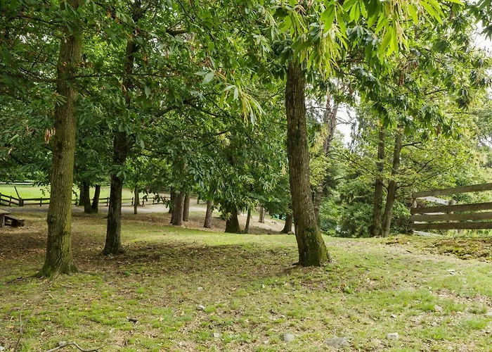 In With Views Dom wakacyjny *