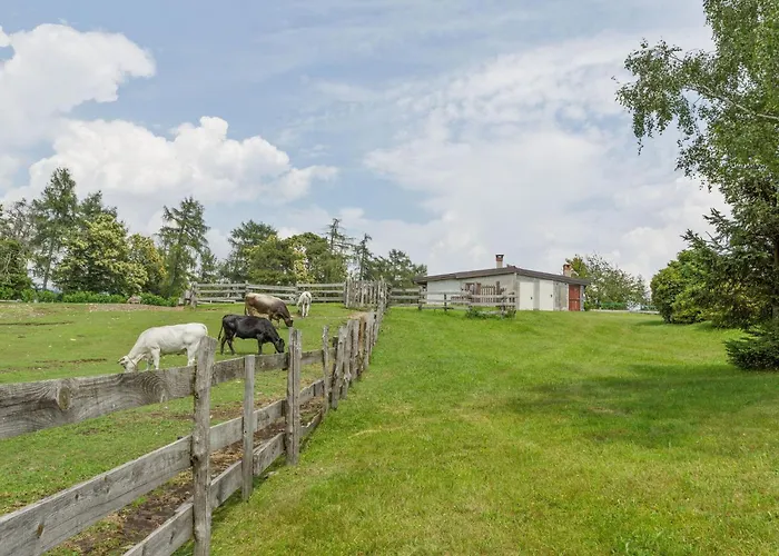 In With Views Dom wakacyjny