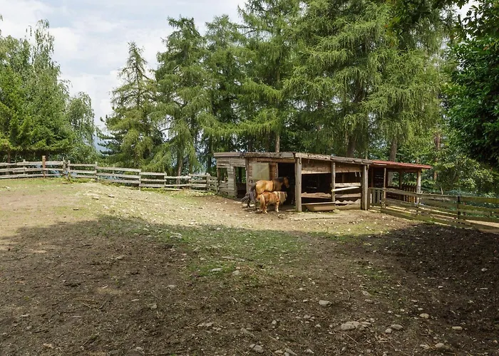 Dom wakacyjny In With Views Verbania