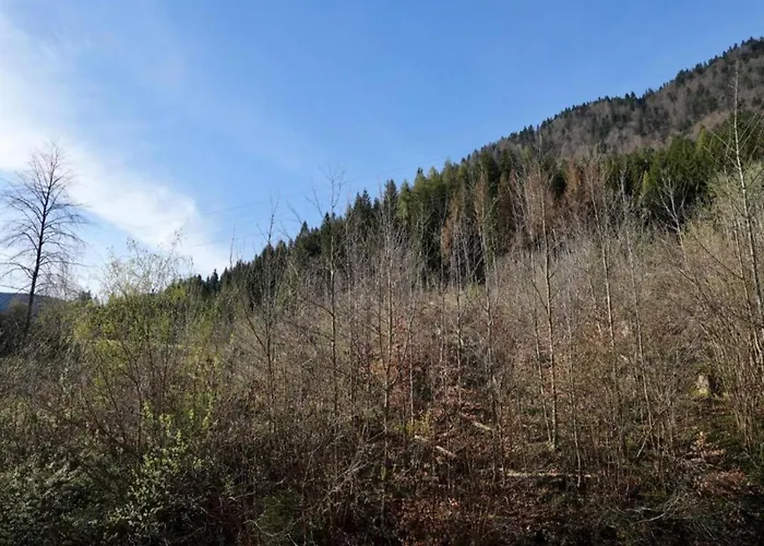 Dom wakacyjny In With Views *